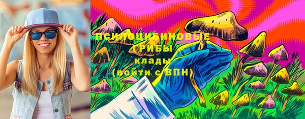 мет Арсеньев
