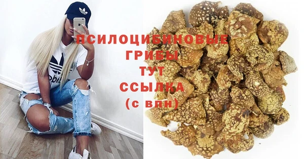 мет Арсеньев